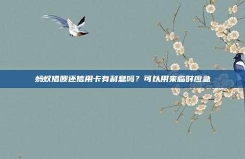 蚂蚁借呗还信用卡有利息吗？可以用来临时应急