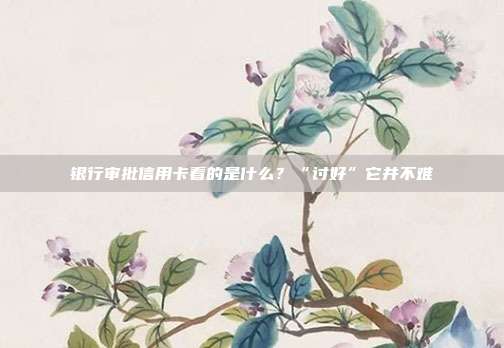 银行审批信用卡看的是什么？“讨好”它并不难