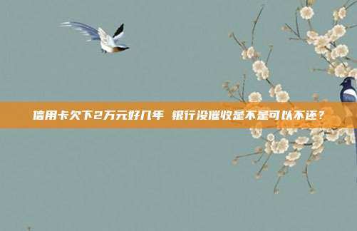 信用卡欠下2万元好几年 银行没催收是不是可以不还?