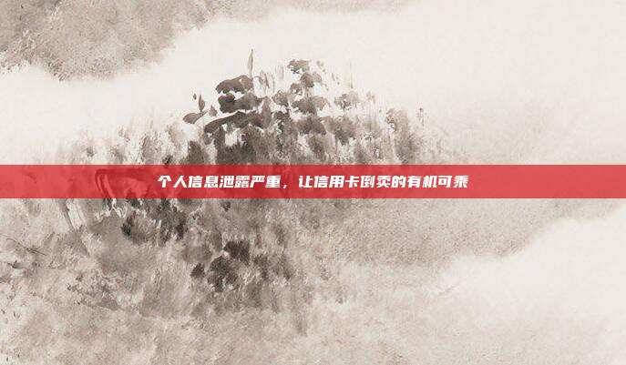 个人信息泄露严重,让信用卡倒卖的有机可乘
