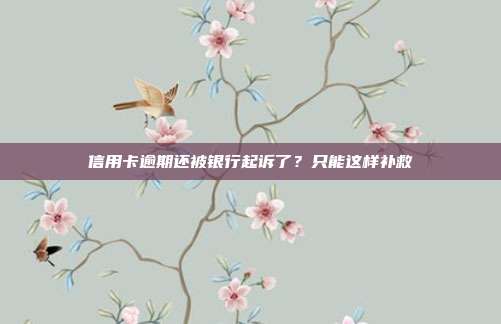 信用卡逾期还被银行起诉了？只能这样补救