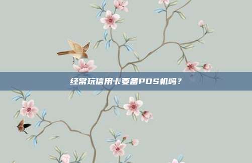经常玩信用卡要备POS机吗？