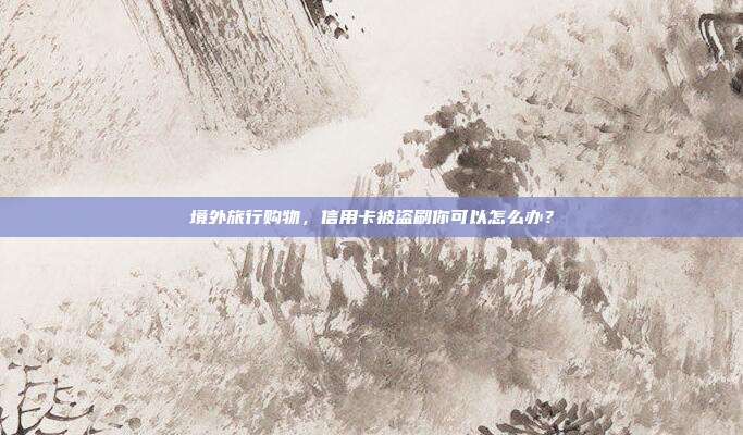 境外旅行购物,信用卡被盗刷你可以怎么办?