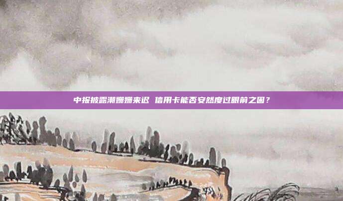 中报披露潮姗姗来迟 信用卡能否安然度过眼前之困?