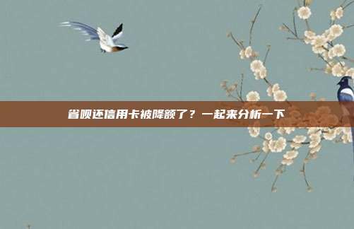 省呗还信用卡被降额了?一起来分析一下