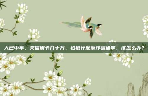人已中年，欠信用卡几十万，怕银行起诉诈骗坐牢，该怎么办？