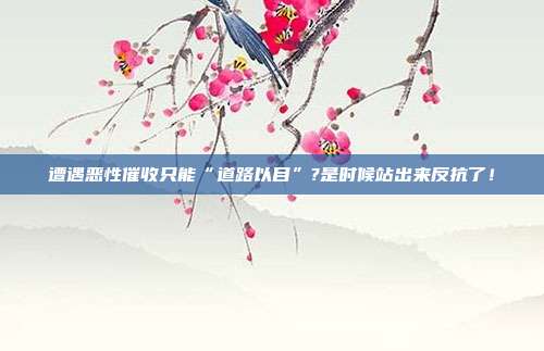 遭遇恶性催收只能“道路以目”?是时候站出来反抗了！