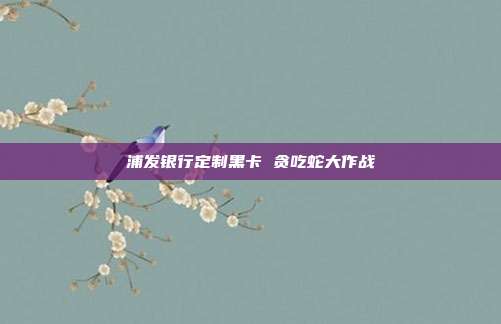 浦发银行定制黑卡 贪吃蛇大作战