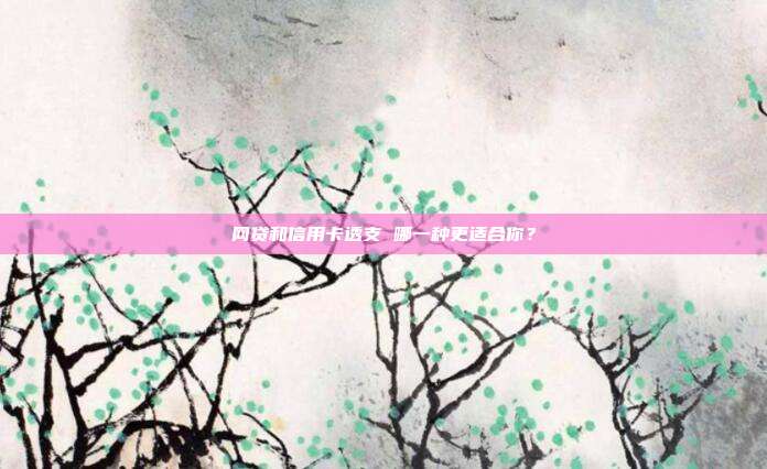 网贷和信用卡透支 哪一种更适合你？