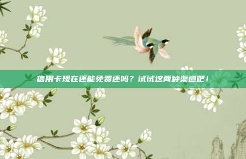 信用卡现在还能免费还吗?试试这两种渠道吧!