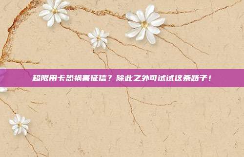 超限用卡恐祸害征信?除此之外可试试这条路子!