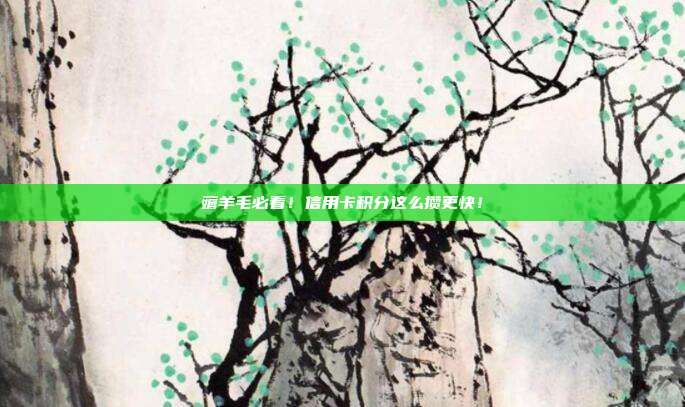 薅羊毛必看!信用卡积分这么攒更快!