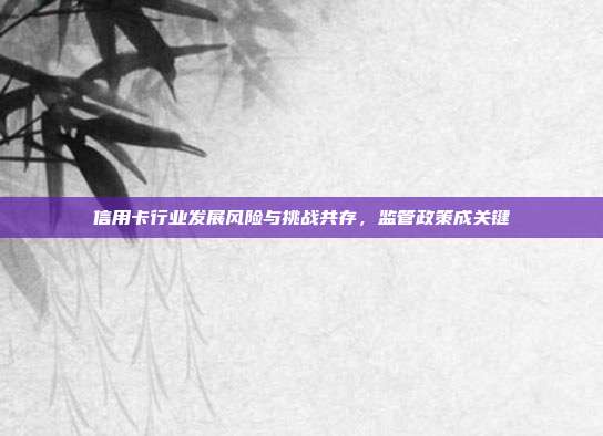 信用卡行业发展风险与挑战共存,监管政策成关键