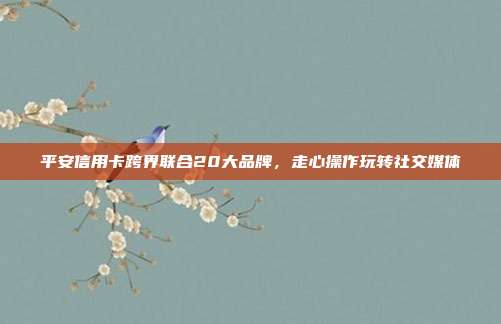 平安信用卡跨界联合20大品牌,走心操作玩转社交媒体