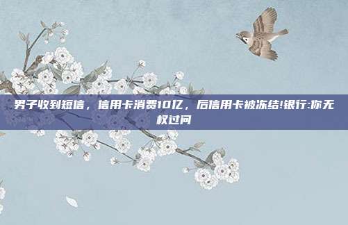 男子收到短信,信用卡消费10亿,后信用卡被冻结!银行:你无权过问