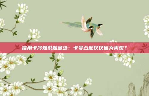 信用卡冷知识知多少:卡号凸起仅仅因为美观?