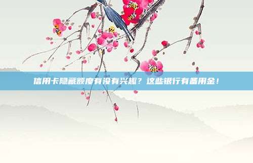 信用卡隐藏额度有没有兴趣?这些银行有备用金!