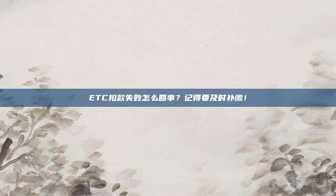 ETC扣款失败怎么回事？记得要及时补缴！