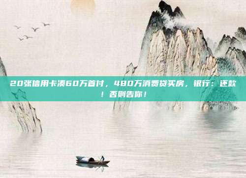 20张信用卡凑60万首付,480万消费贷买房,银行:还款!否则告你!
