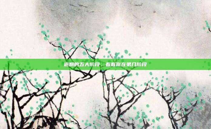 逾期的五大阶段,看看你在第几阶段