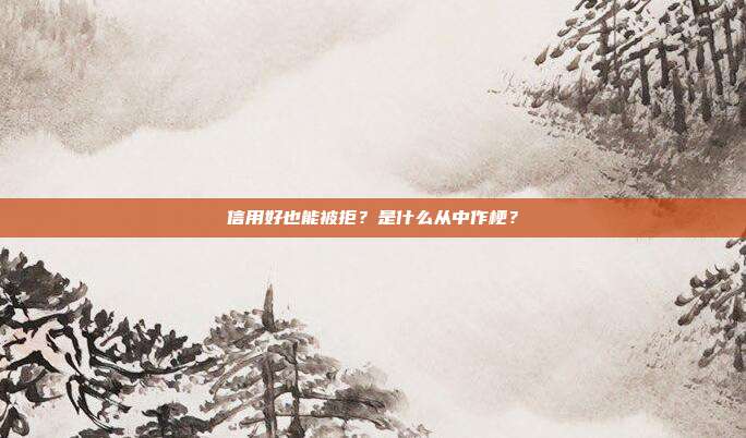 信用好也能被拒?是什么从中作梗?