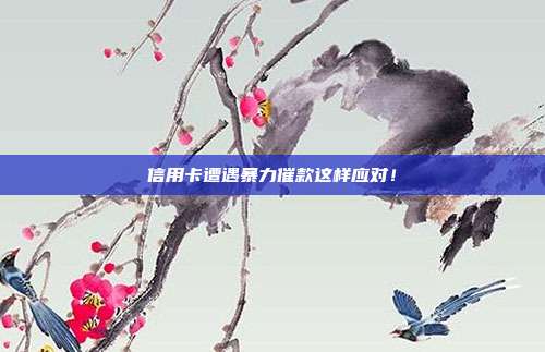 信用卡遭遇暴力催款这样应对!
