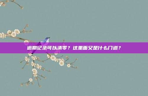 逾期记录可以清零？这里面又是什么门道？