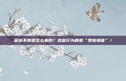 征信不良是怎么来的?这些行为都是“罪魁祸首”!