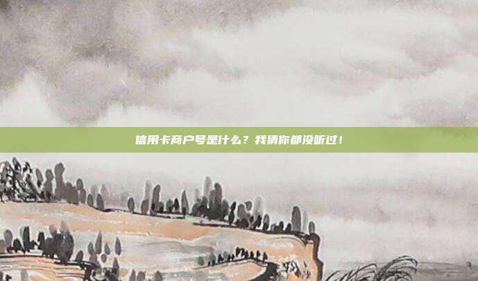 信用卡商户号是什么？我猜你都没听过！