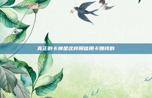 真正的卡神是这样用信用卡赚钱的