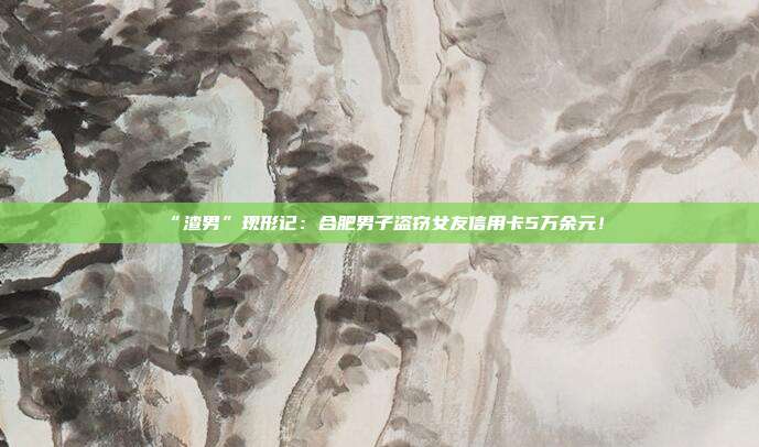 “渣男”现形记:合肥男子盗窃女友信用卡5万余元!