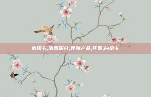 信用卡,消费积分,理财产品,年费,白金卡