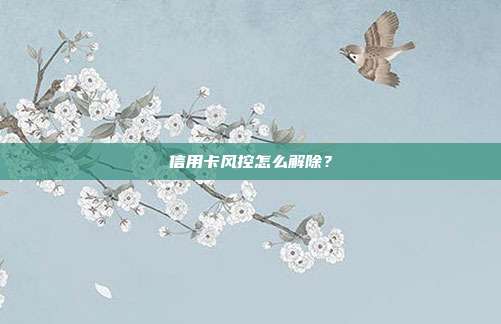 信用卡风控怎么解除?