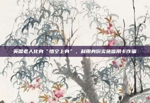英国老人化身“悟空上身”,利用身份实施信用卡诈骗