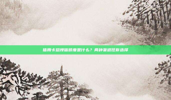 信用卡总授信额度是什么?两种渠道任你选择