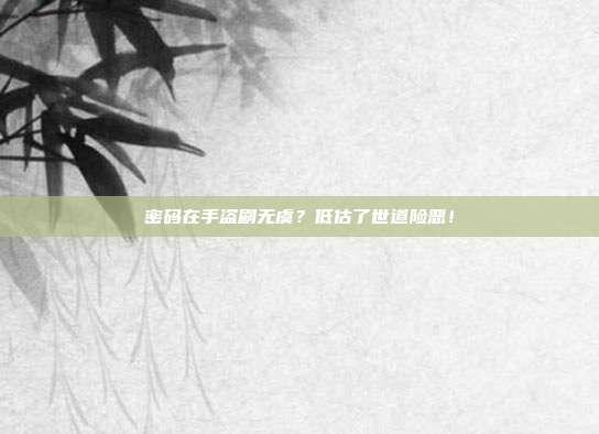 密码在手盗刷无虞？低估了世道险恶！