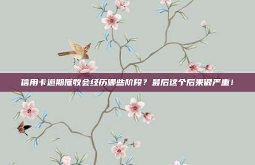 信用卡逾期催收会经历哪些阶段?最后这个后果很严重!