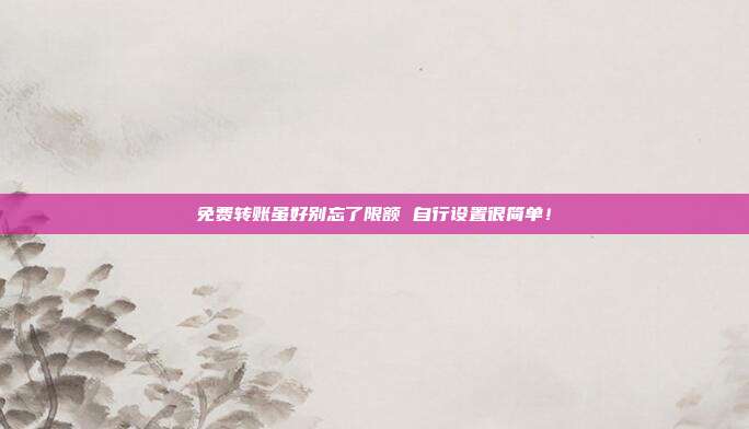 免费转账虽好别忘了限额 自行设置很简单!