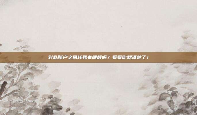 对私账户之间转账有限额吗?看看你就清楚了!