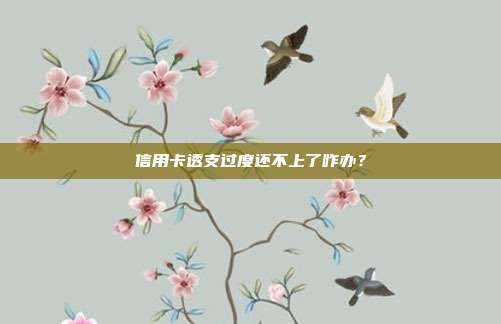 信用卡透支过度还不上了咋办?