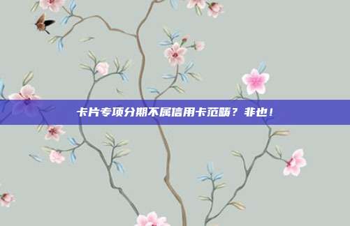 卡片专项分期不属信用卡范畴?非也!