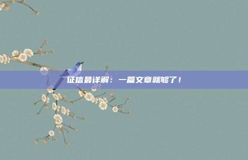 征信最详解:一篇文章就够了!