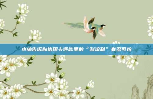 小编告诉你信用卡还款里的“利滚利”有多可怕