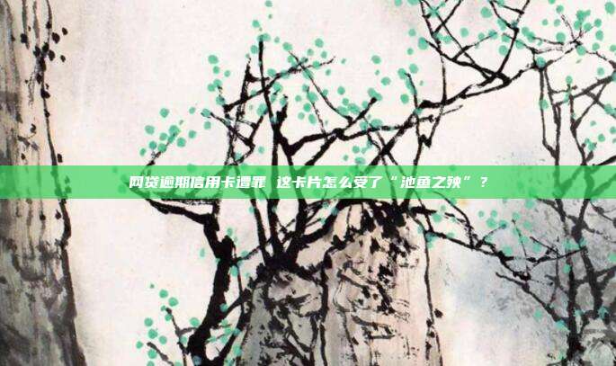 网贷逾期信用卡遭罪 这卡片怎么受了“池鱼之殃”?