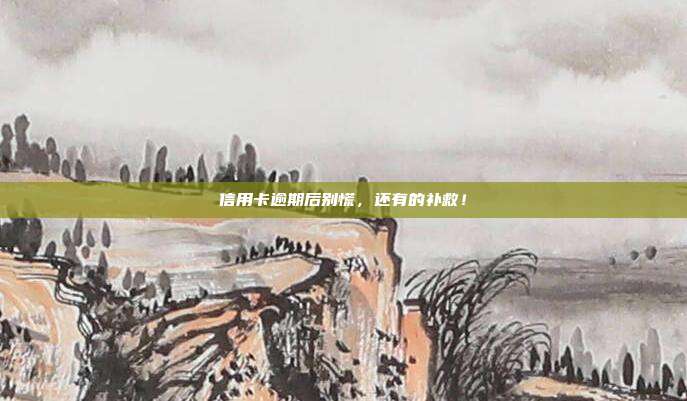 信用卡逾期后别慌,还有的补救!