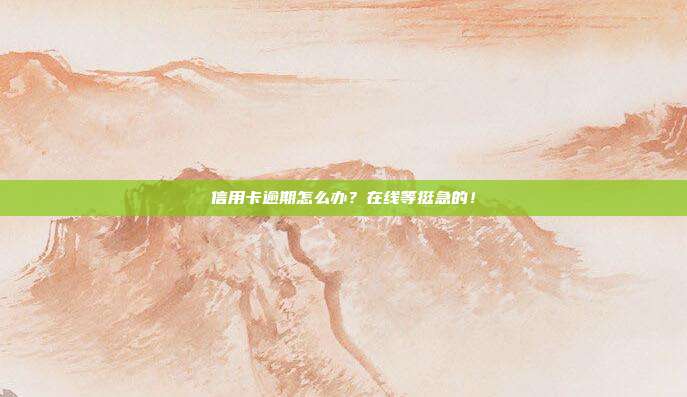 信用卡逾期怎么办?在线等挺急的!