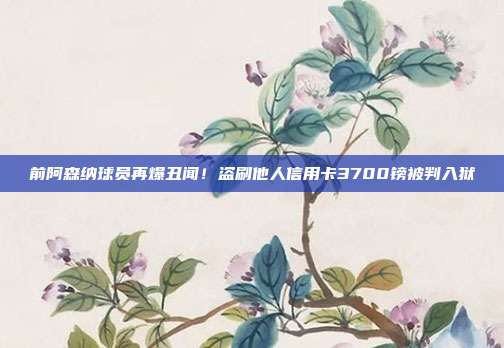 前阿森纳球员再爆丑闻！盗刷他人信用卡3700镑被判入狱