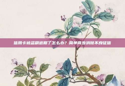 信用卡被盗刷逾期了怎么办?简单两步消除不良征信