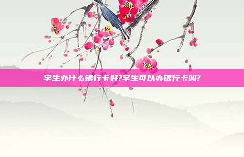 学生办什么银行卡好?学生可以办银行卡吗?