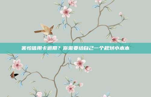害怕信用卡逾期?你需要给自己一个规划小本本